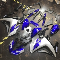 Dàn áo YZF R3 (đã sơn Airbrush) (tùy chọn màu)