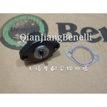 Tăng cam Benelli RFS150i