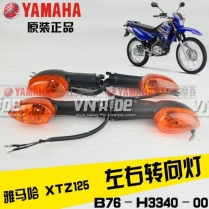 Xi nhan XTZ125 (ĐVT : Cái)