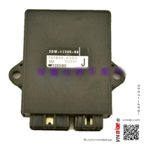 IC / ECU zin Virago 250